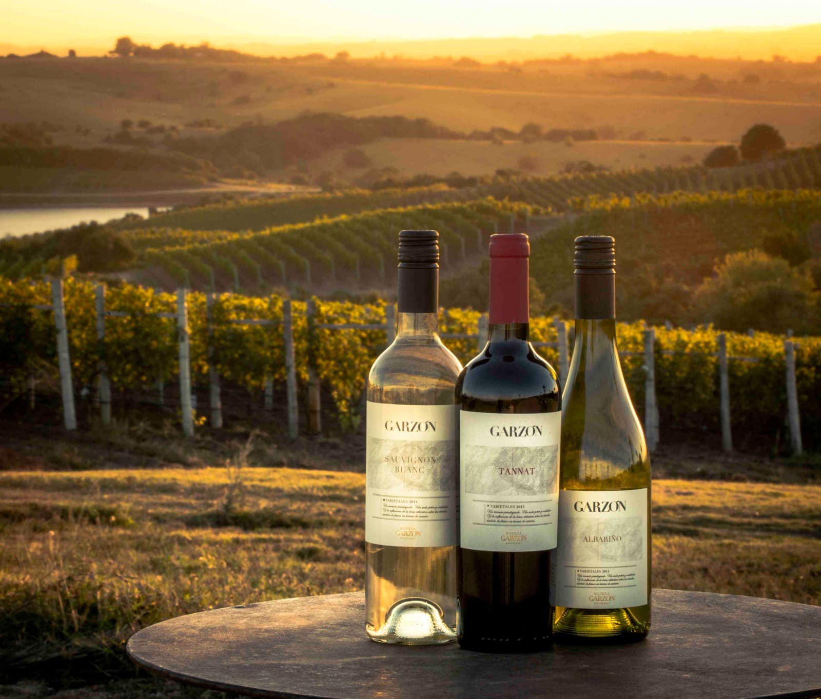 Garzón, nuestra marca país