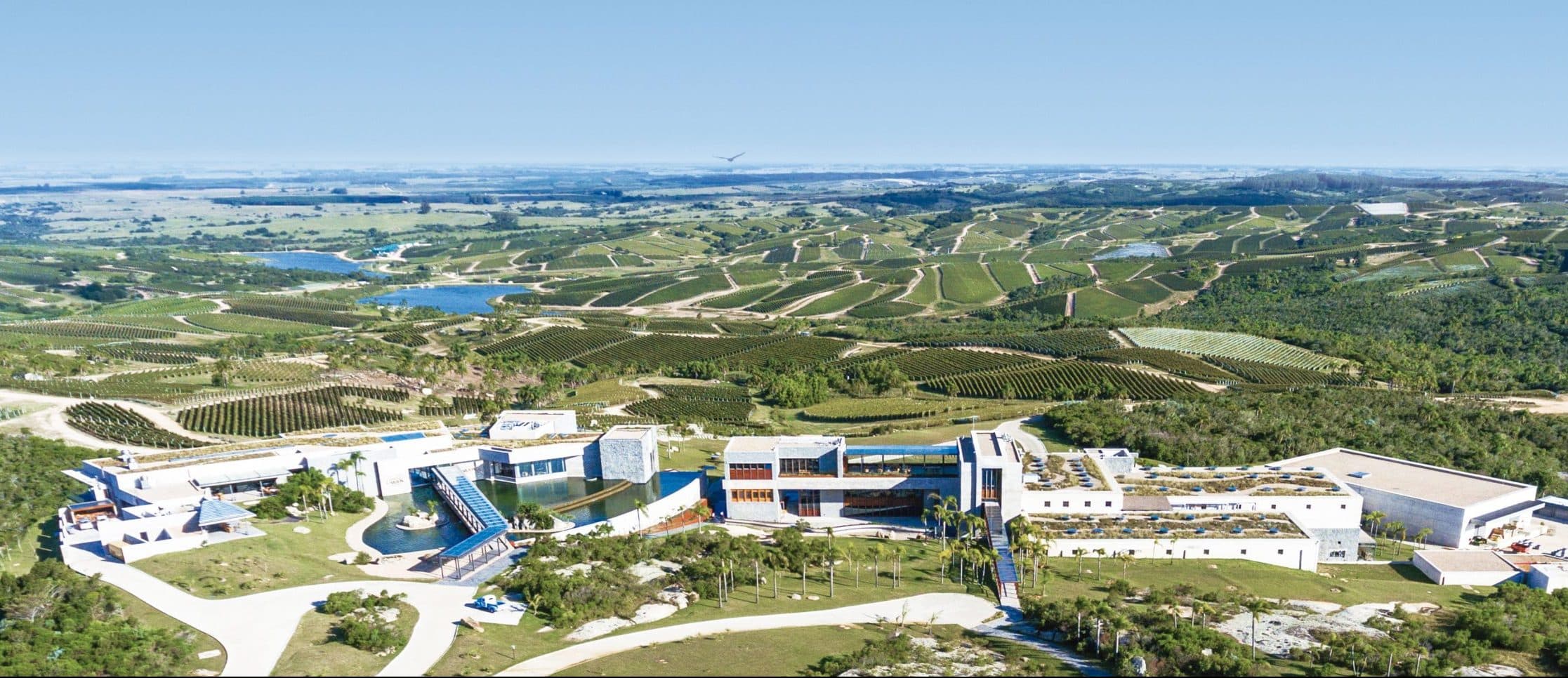 Una visión de excelencia, exclusividad y sustentabilidad: Bodega Garzón y el cierre de otro año histórico