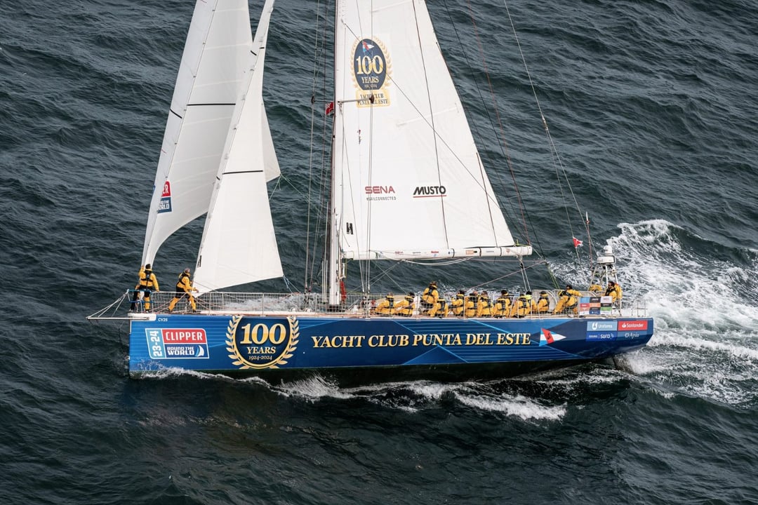 Screen Shot 2023-11-15 at 1.02.10 PM Screen Shot 2023-11-15 at 1.02.10 PM