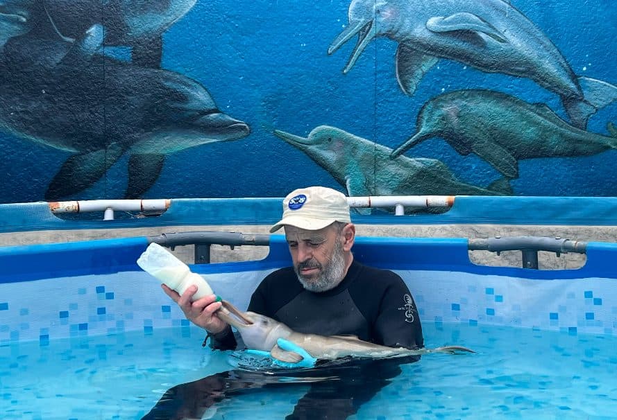 SOS Fauna Marina y Socobioma: el encomiable trabajo de quienes luchan por un futuro mejor