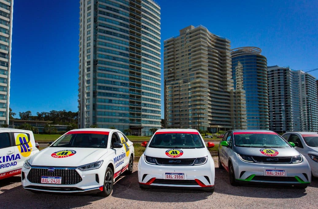 Máxima Seguridad: más de 25 años de trayectoria en Maldonado