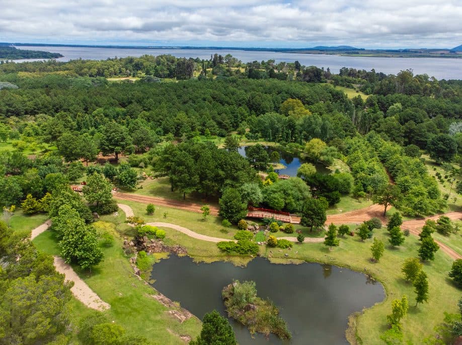 Jardinería y paisaje: Eladia Isabel, un jardín japonés en Ruta 12