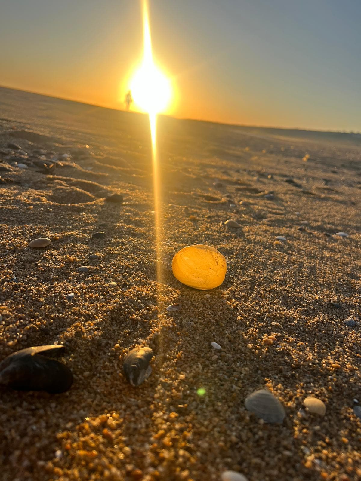 Huevitos de playa: una maravilla en la arena
