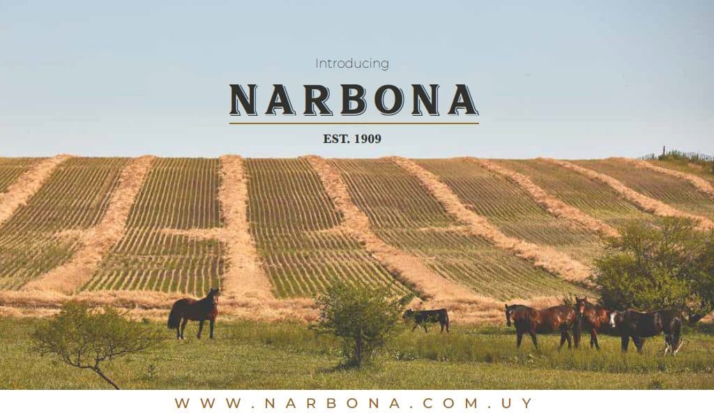 NARBONA