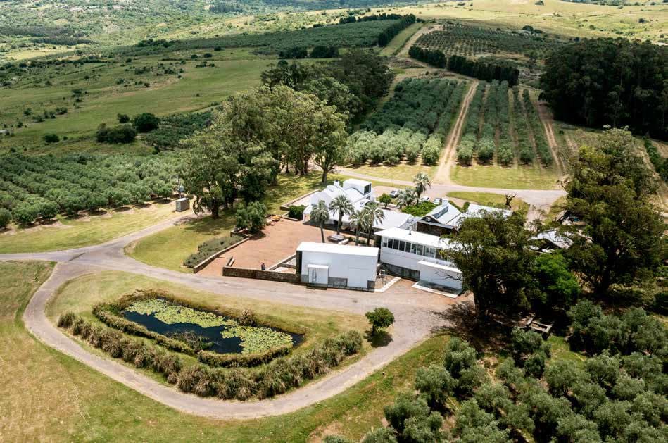 Lote 8: tradición y excelencia