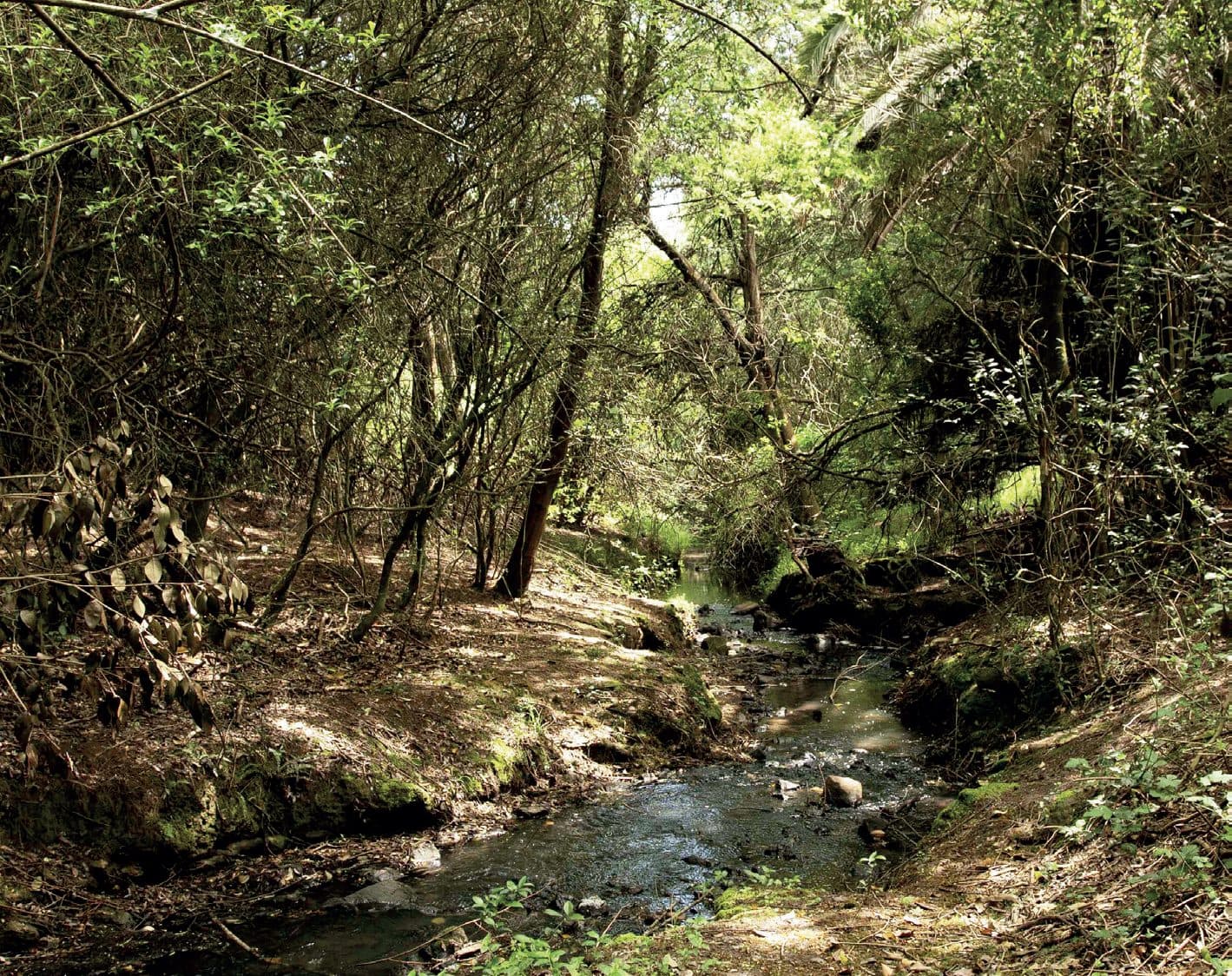 Escuela de naturaleza