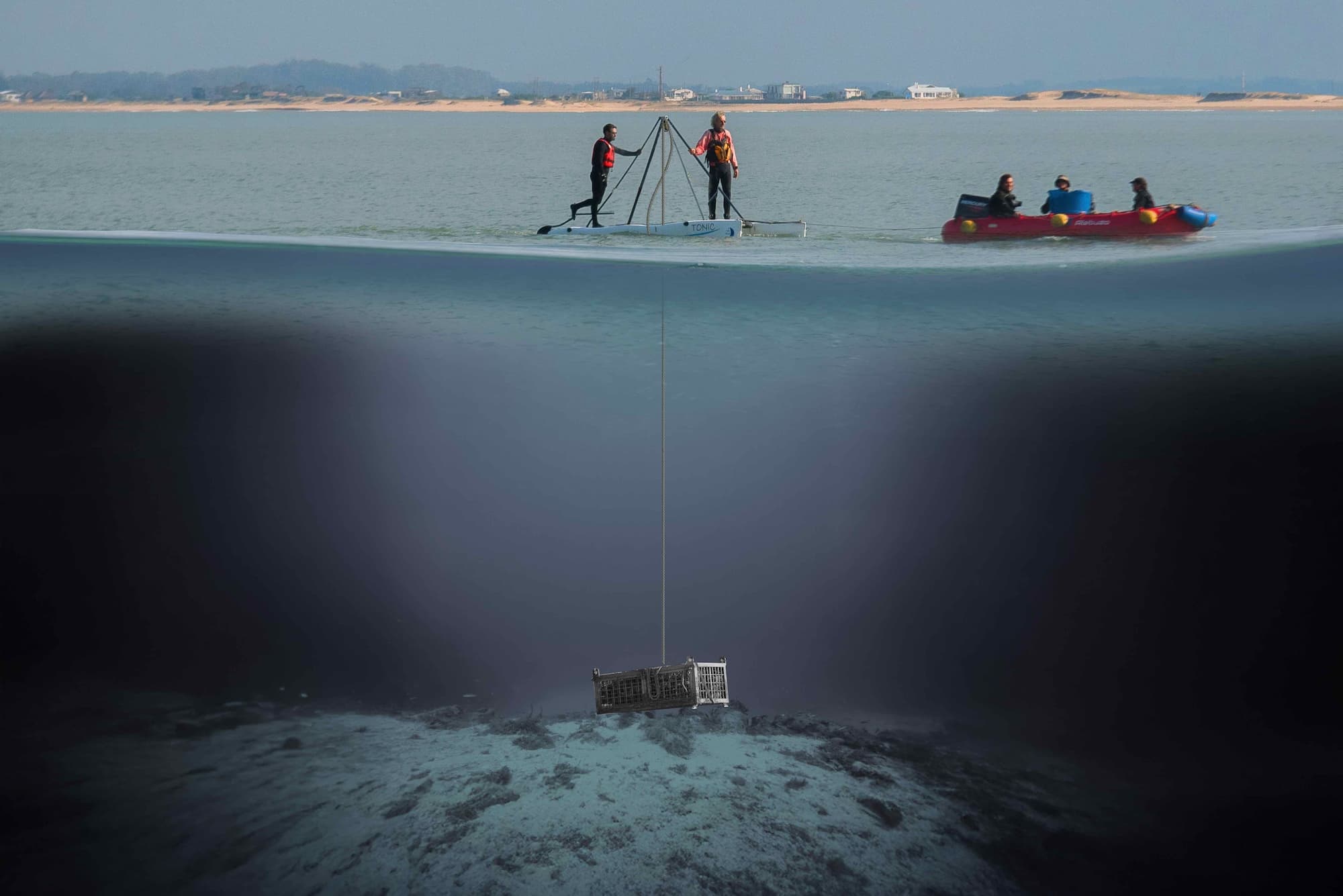 “Proyecto ultramar”: cómo son los vinos uruguayos criados bajo el océano en José Ignacio