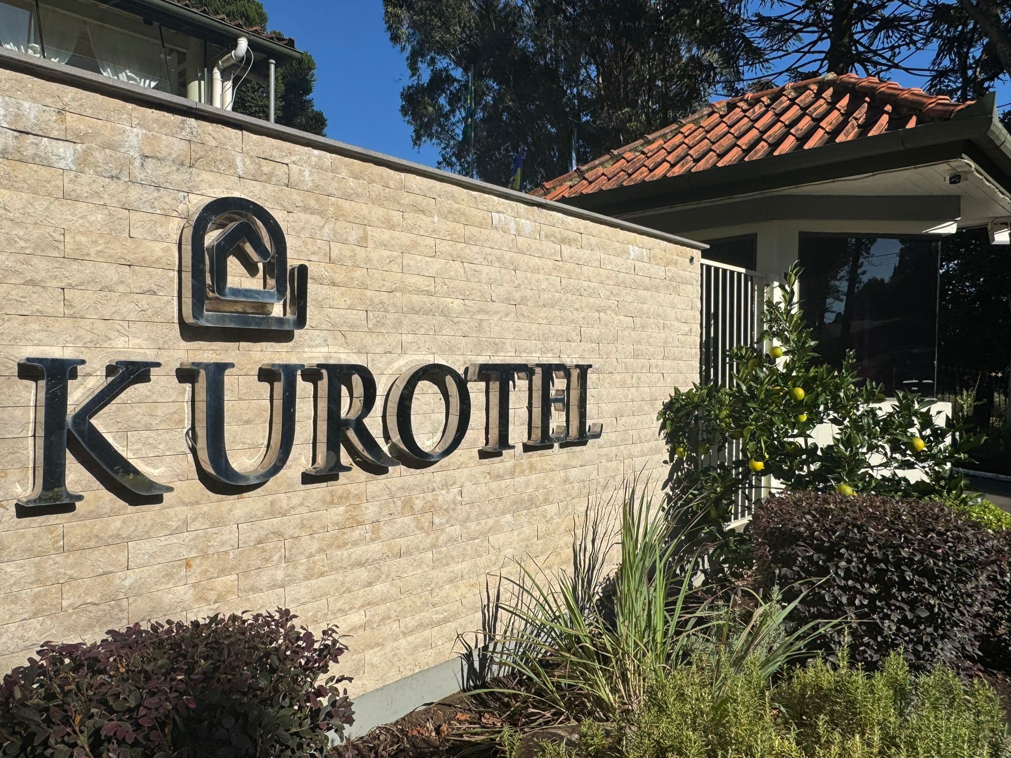 El arte de vivir bien: el legado de Mariela Silveira