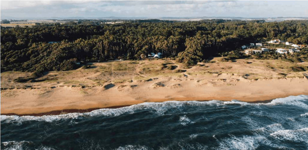 Big Bang Nature Stays