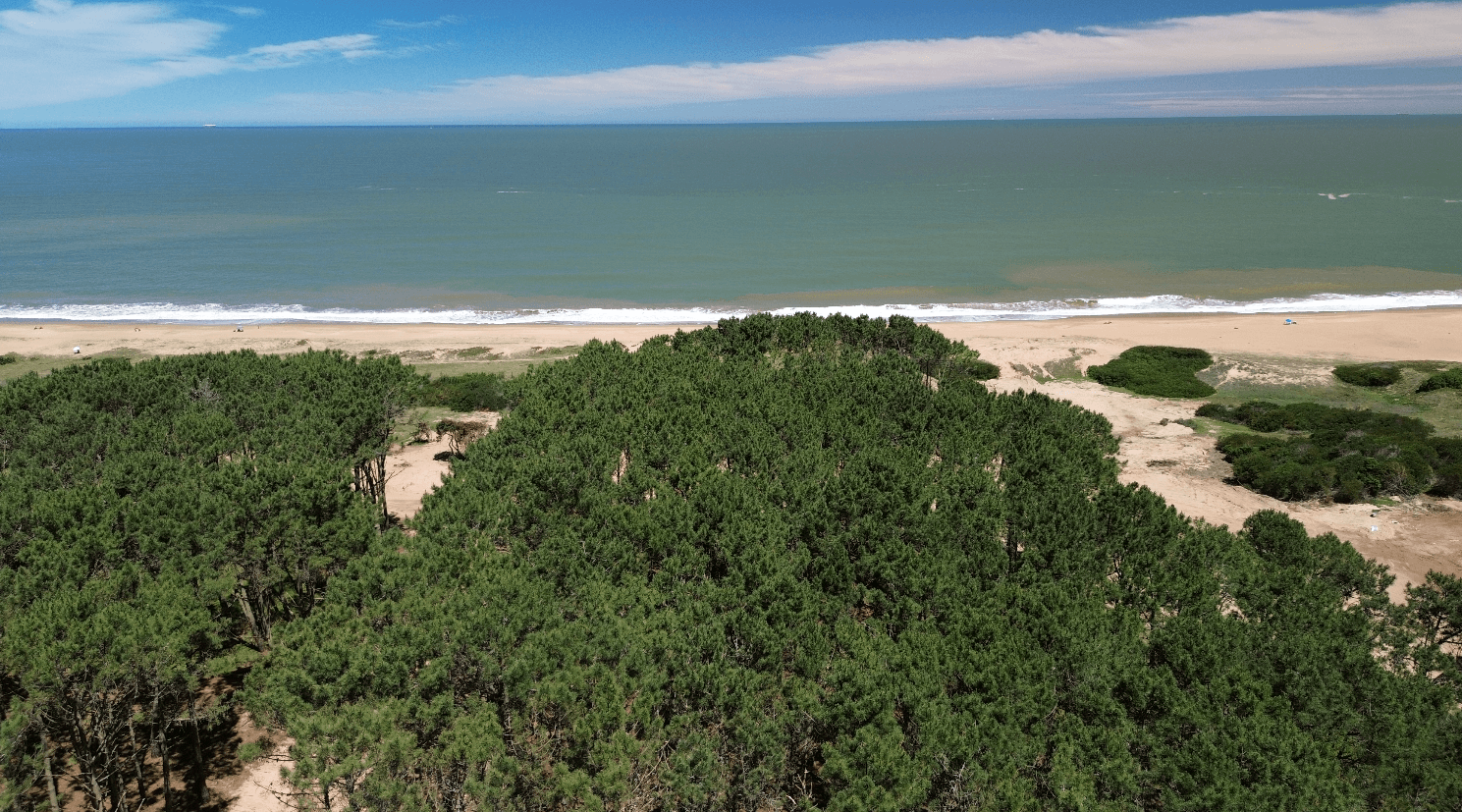 Vivir entre el bosque y el mar – Astra