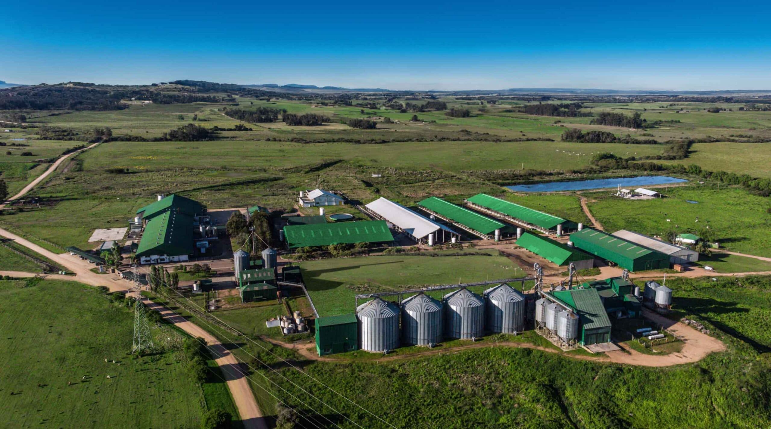 Talar: la trilogía que define a un lácteo modelo