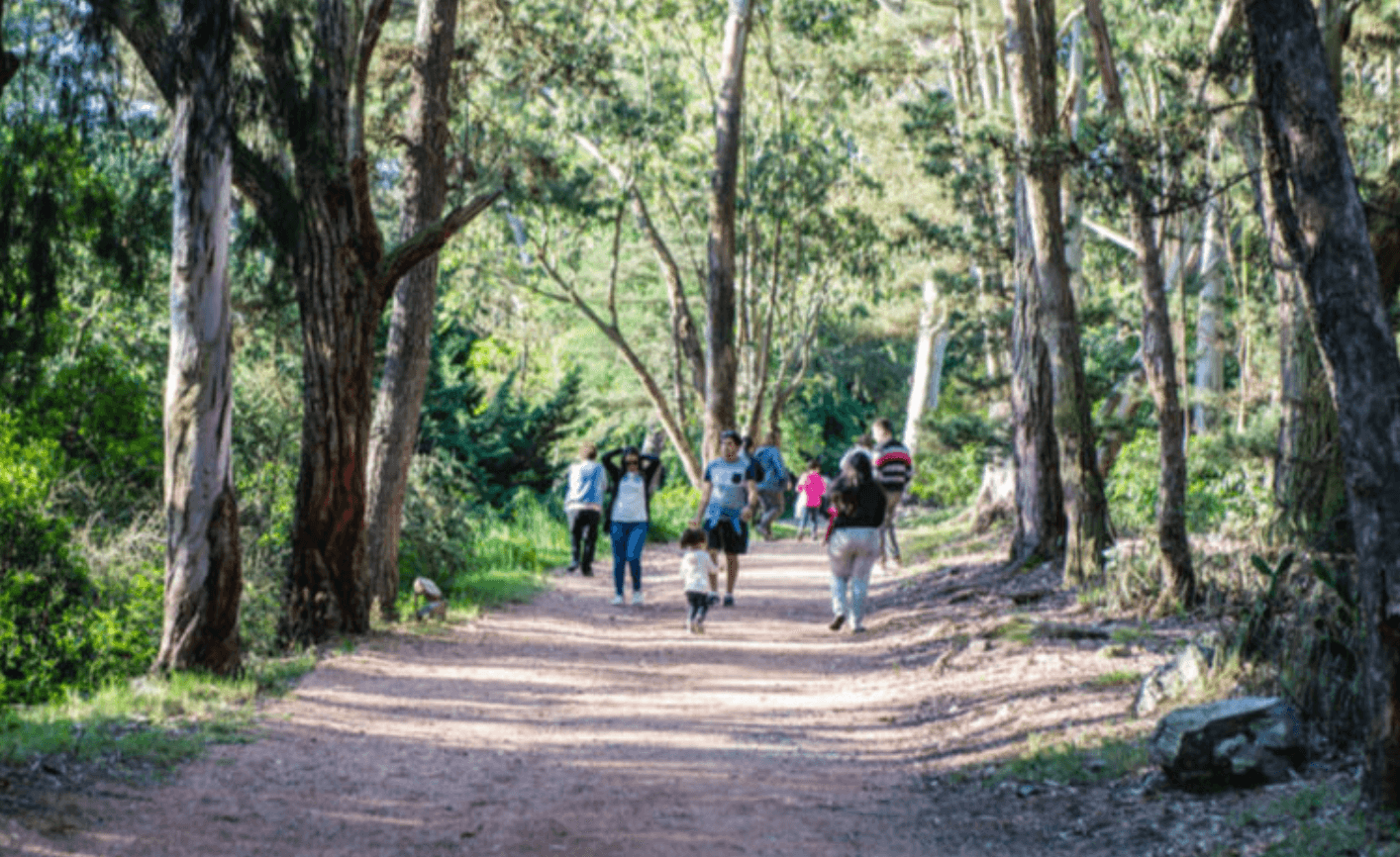 Arboretum Lussich: bosque vivo
