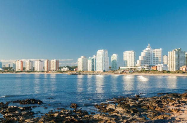 Servicios integrados de valor inmobiliario – Xenia