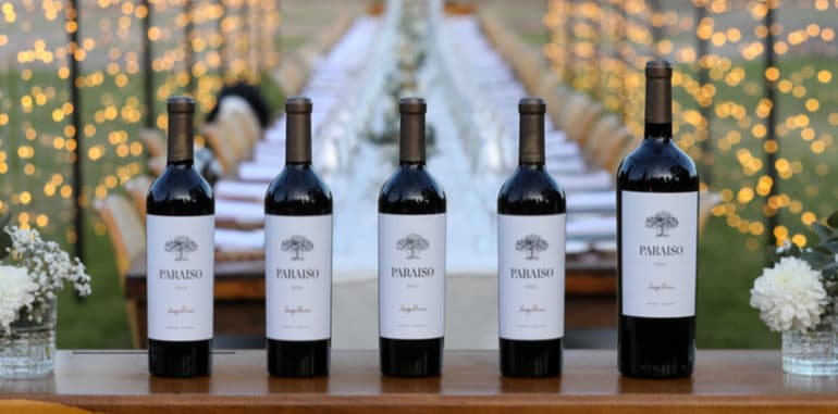 125 años remasterizando el vino argentino – Luigi Bosca