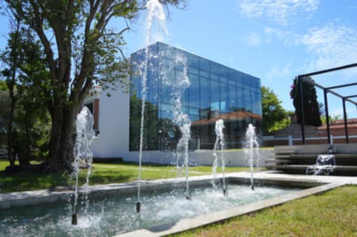 Innovación uruguaya para la atención oncológica