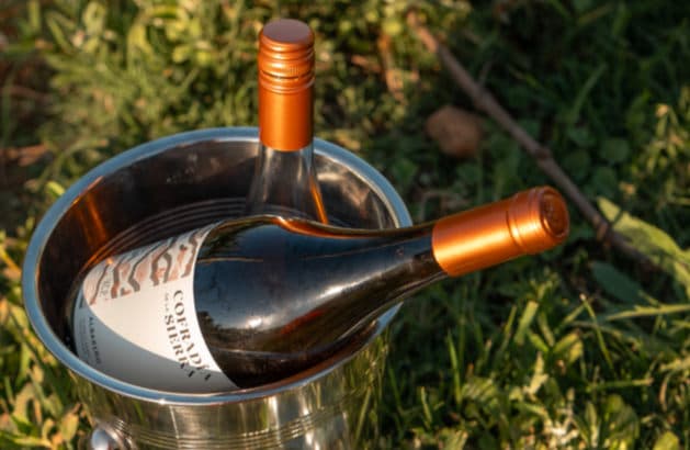 Una nueva joya del vino y el enoturismo – Bodega Cofradía de las Sierras