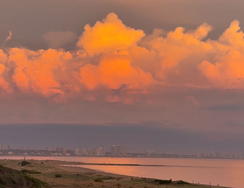 Manual para leer el cielo de Punta del Este