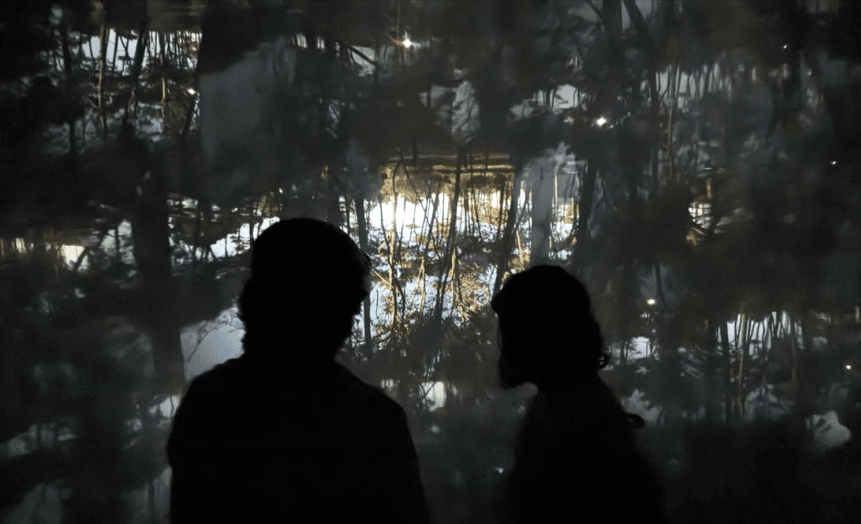 Arte y conciencia ambiental: una nueva forma de habitar José Ignacio