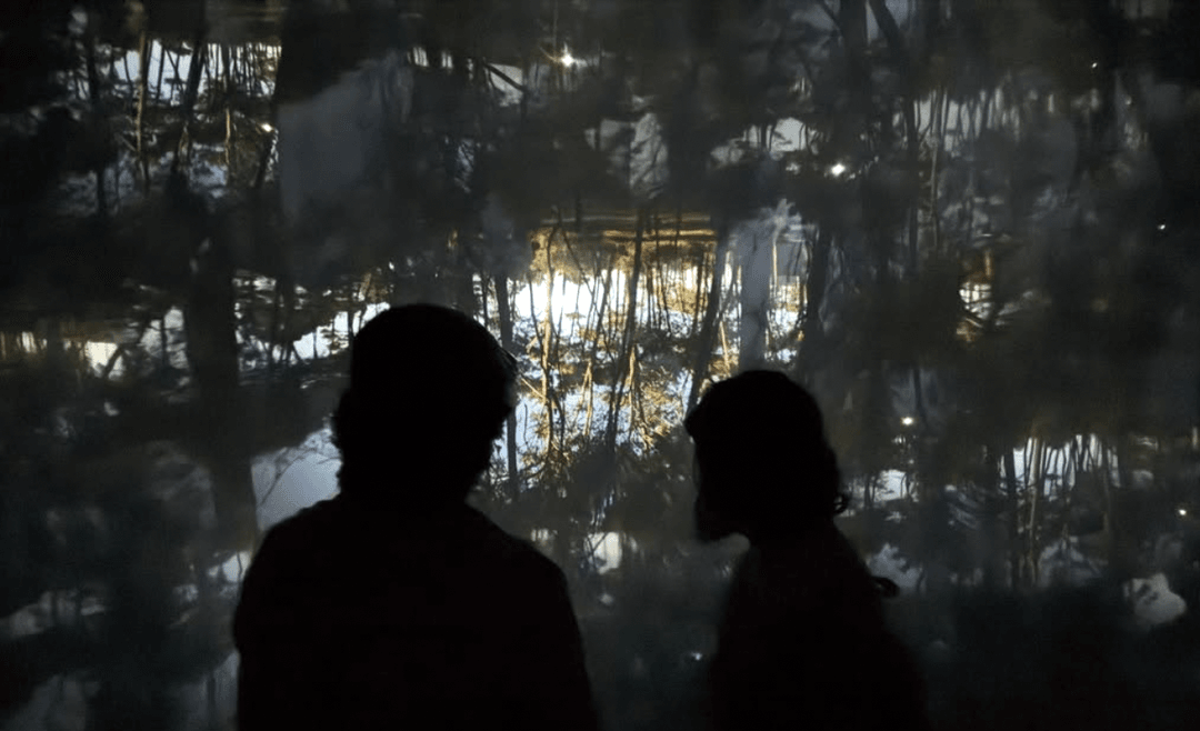 Captura de pantalla 2026-01-30 a las 12.45.36 p. m. Captura de pantalla 2026-01-30 a las 12.45.36 p. m.